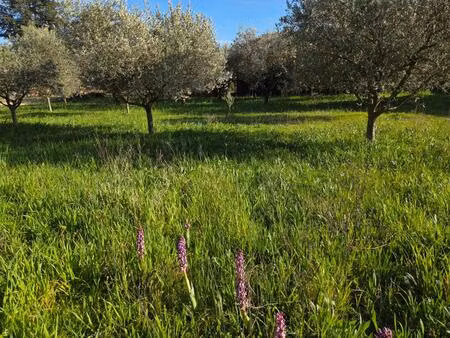 vente terrain 900 m² pujaut (30131)