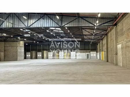 local d'activite a louer