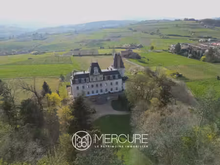 château à villefranche-sur-saône