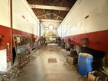 cave de 500m2 saint jean-lasseille