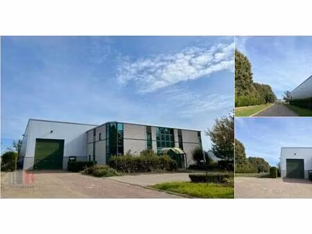 surface industrielle à louer à rellestraat 5540 saint-trond (rbu51678)