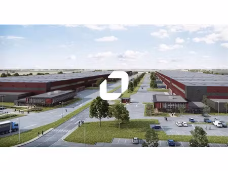 location entrepôt boisseaux 45480