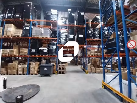 location local d'activités colombier saugnieu 69124