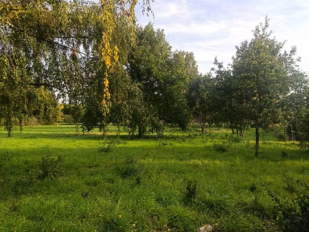 terrain selles sur cher 1277 m2