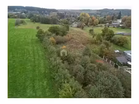 terrain à lotir à vendre à chemin de ville-du-bois petit-thier vielsalm (vbd41858)