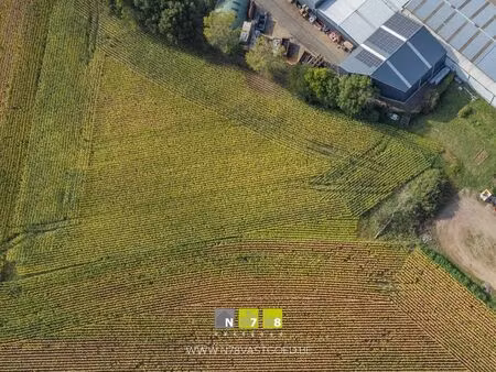 terrain agricole à vendre à rachels dilsen-stokkem (rbu51680)