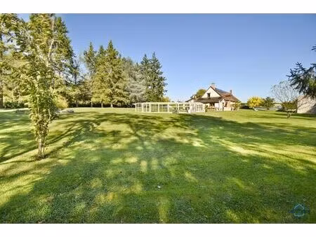 vente maison 8 pièces 229 m² chémery (41700)