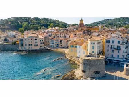 appartement avec terrasse saint-tropez (83)