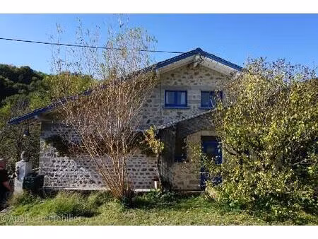 grande maison avec 3 logements et piscine