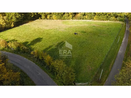 à saisir ! deux parcelles de terrain