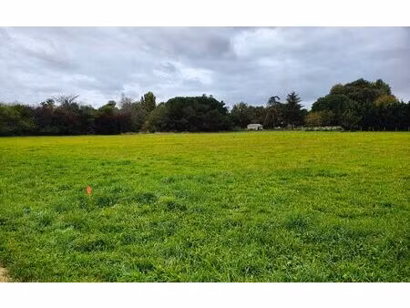 terrain noé m² t- à vendre  87 000 €