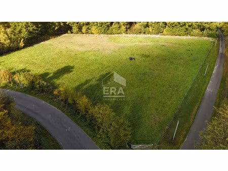 terrain 0 pièces 7838 m² à vendre / acheter saint-hilaire-sur-erre 61340 ? | era immobilie