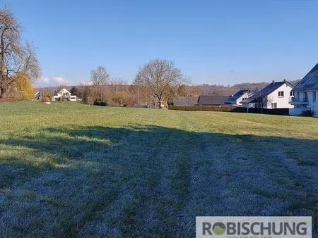 terrain 1580 m² hirsingue