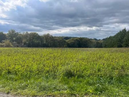 vente terrain 5564 m² à le vigan (46300)  42 000 €