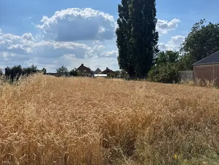 vente terrain 1991 m² à villers-outréaux (59142)  29 000 €