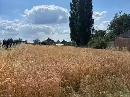 vente terrain 1991 m² à villers-outréaux (59142)  24 000 €