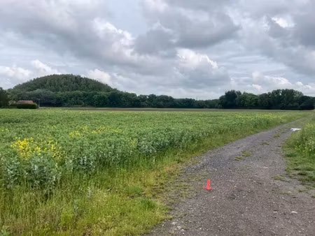 vente terrain 432 m² à carvin (62220)  63 500 €