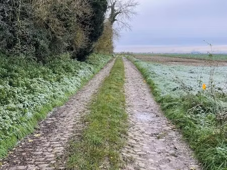 vente terrain 289 m² à roucourt (59169)  48 500 €