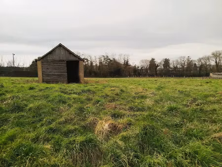 vente terrain 4108 m² à noyen-sur-sarthe (72430)  78 000 €