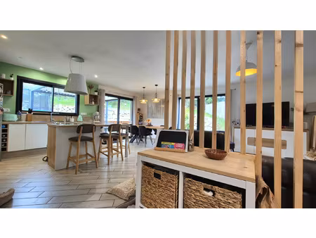 maison familiale avec jardin  terrasse et sous-sol complet à