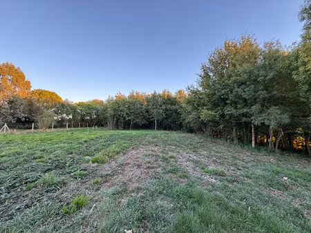 vente terrain  677.00m²  montans