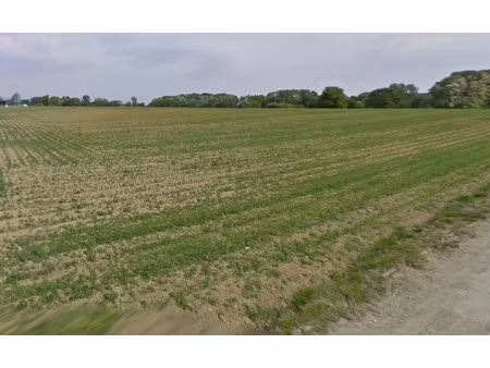 vente terrain 557 m² à spechbach-le-bas (68720)  98 045 €