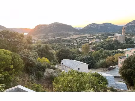 vente terrain 900 m² à patrimonio (20253)  182 000 €