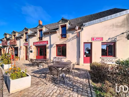 vente locaux professionnels 500 m² à saint-aubin-le-monial (03160)  77 000 €