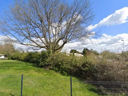 vente terrain 305 m² à le bouscat (33110)  290 000 €