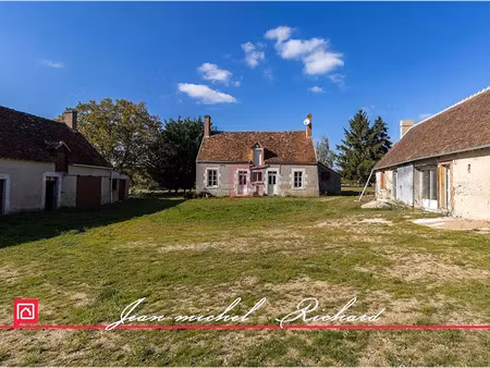 vente propriété 8 pièces 400 m² à gy-en-sologne (41230)  520 000 €