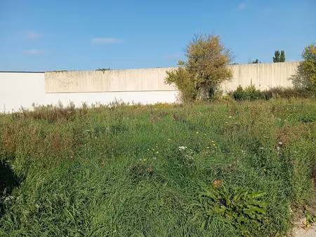 terrain qui attend une famille calme  sécurisé