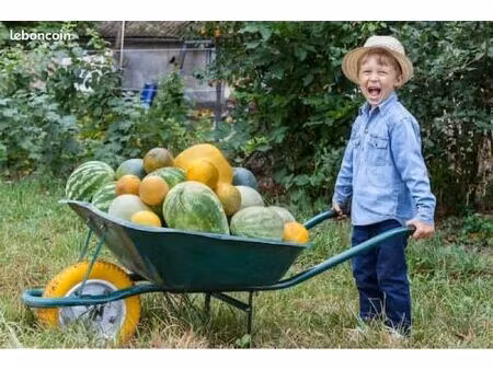 mtp comédie / gare / polygone jardin 125m2 avec 2 petits bâtis  1 grand arbre