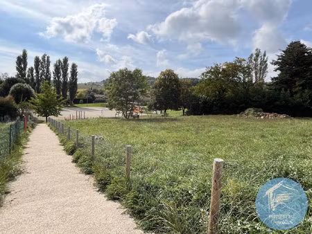 terrain viabilisé 654m2 - centre bourg - frontenas