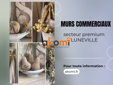 immobilier professionnel à vendre lunéville