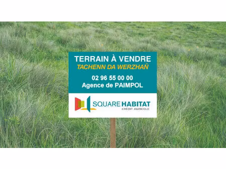 terrain kerfot (22500)