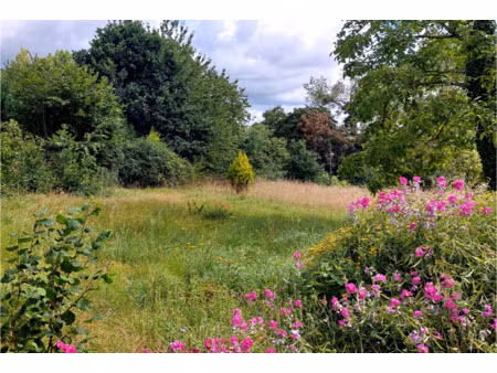 terrain constructible viabilise de 2480m2 sur quettreville-s