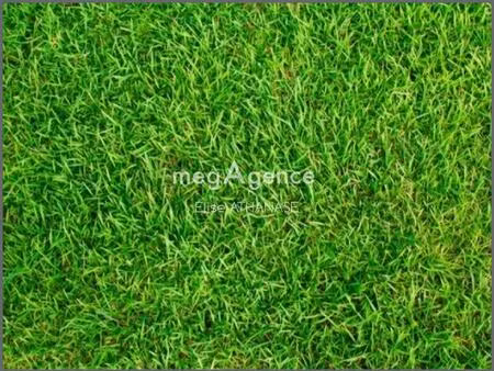 terrain constructible 377m2