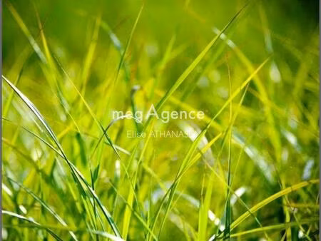 terrain constructible 535m2