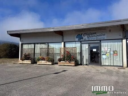 local commercial à vendre