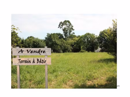 terrain plat constructible   d'une surface de 6286 m2 à bell