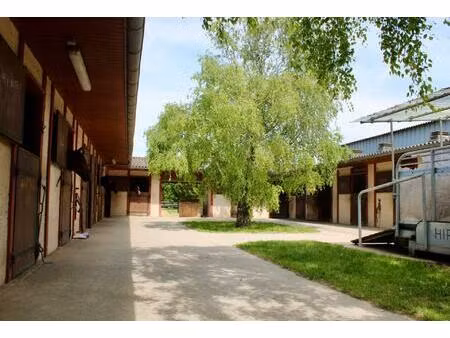 maison 150 m²  écurie pour chevaux  bâtiments agricoles