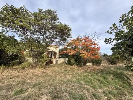 propriété viticole