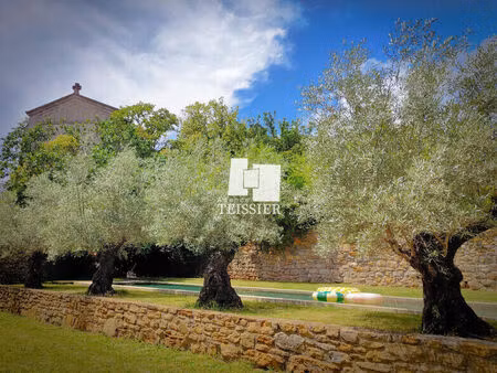 vente maison 11 pièces 434 m² les vans (07140)