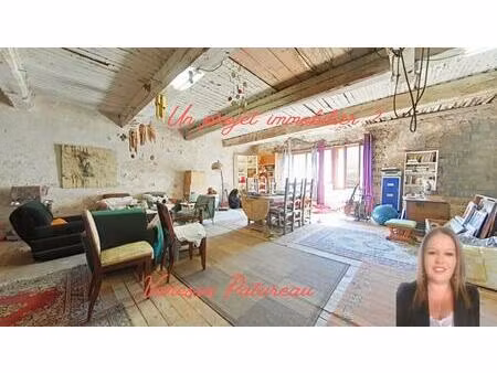 ensemble immobilier bize minervois 7 pièce(s) 516 m2