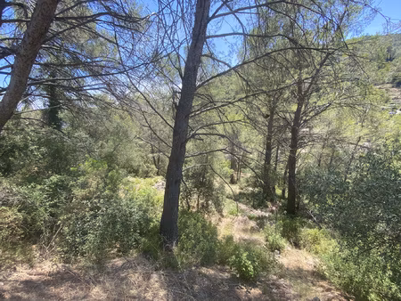 achat terrain 1 354m² sollies toucas 83210