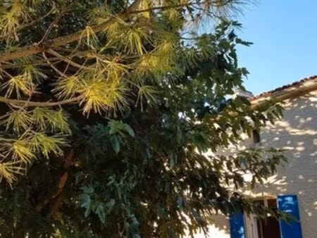 à vendre entre barbezieux et jonzac 