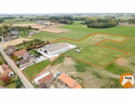 herne - paardenaccommodatie met woning op 2 4ha