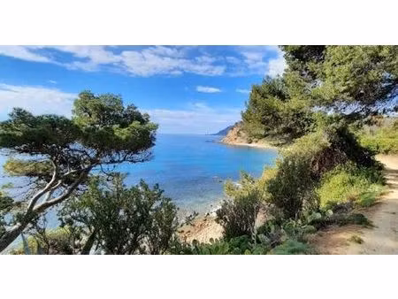 prestigieuse maison en vente saint-mandrier-sur-mer  provence-alpes-côte d'azur