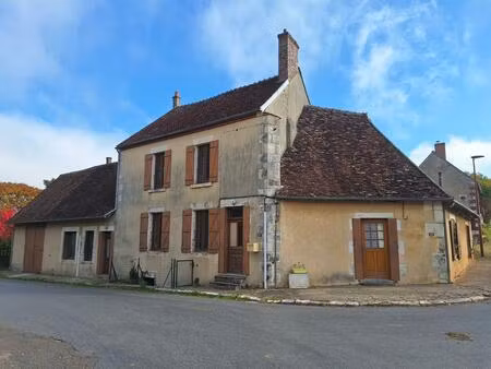 vente maison 2 pièces 89 m² le noyer (18260)