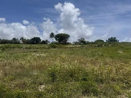 terrain constructible